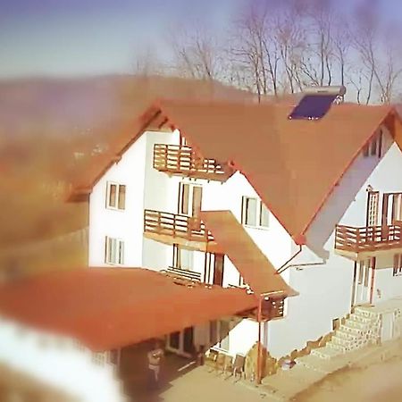 La Curtea Argeseana Appartement Valea Iasului Buitenkant foto