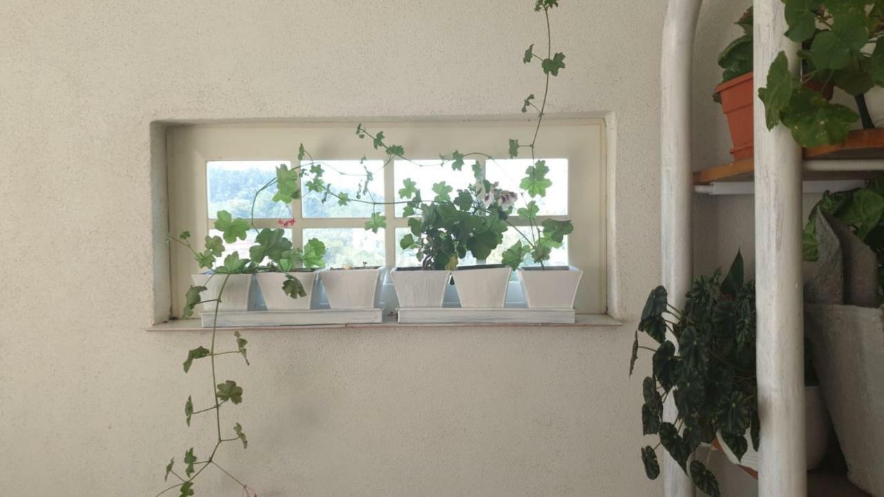 La Curtea Argeseana Appartement Valea Iasului Buitenkant foto