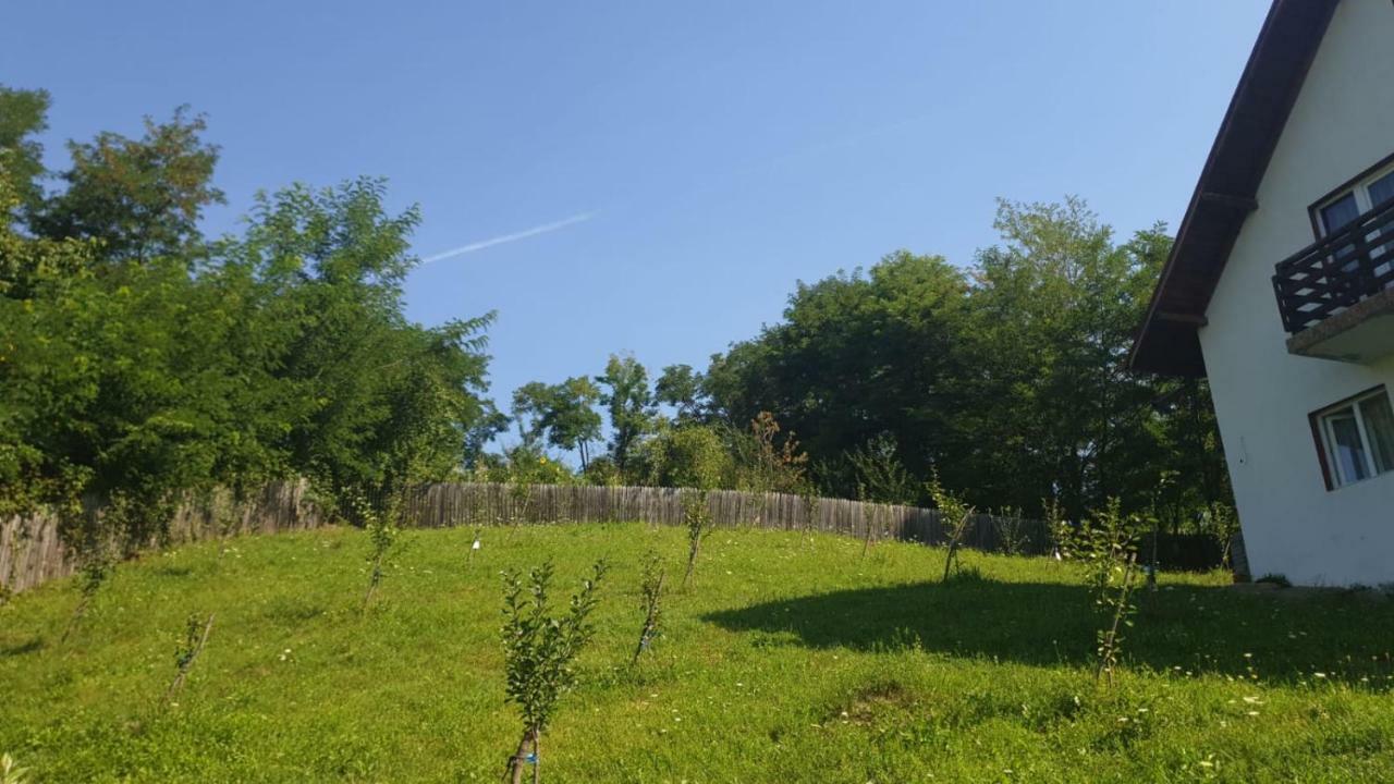 La Curtea Argeseana Appartement Valea Iasului Buitenkant foto
